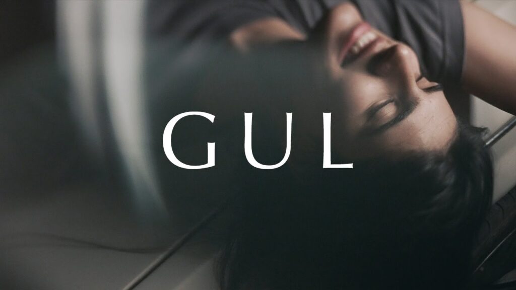 Gul Song By-Anuv Jain Lyrics in Hindi